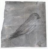 Songbird  XIII by Alice Leach, Painting, Mixed Media on paper