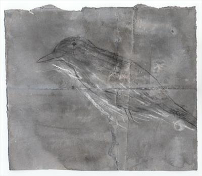 Songbird  II
