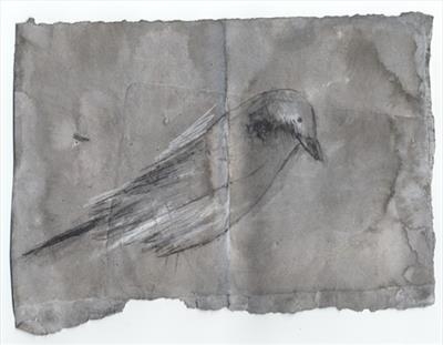 Songbird  IV
