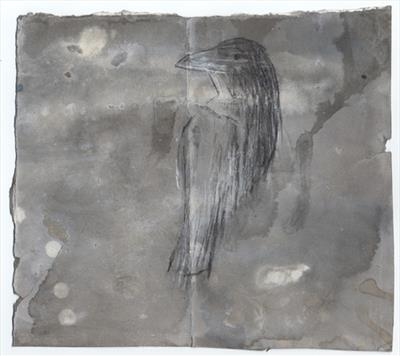 Songbird  VI
