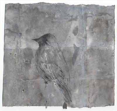Songbird  XVII